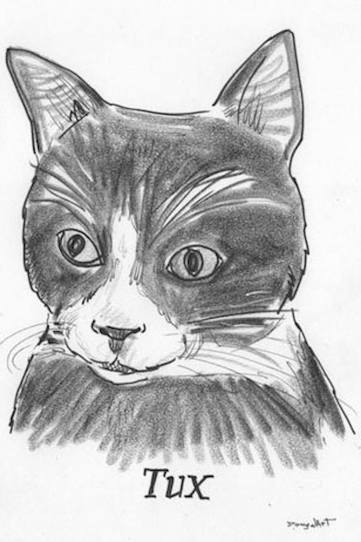 Pencil Pet Portraits from Photos - Drawings of Cats, Dogs & Horses